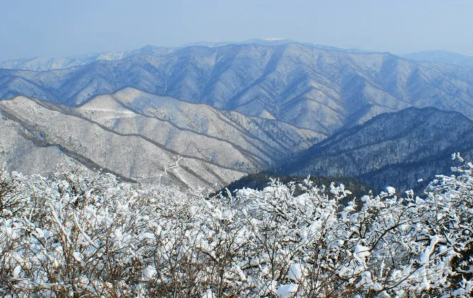  [100대 명산] 평창군 오대산 교통수단과 등산코스, 근처 관광지 총정리
