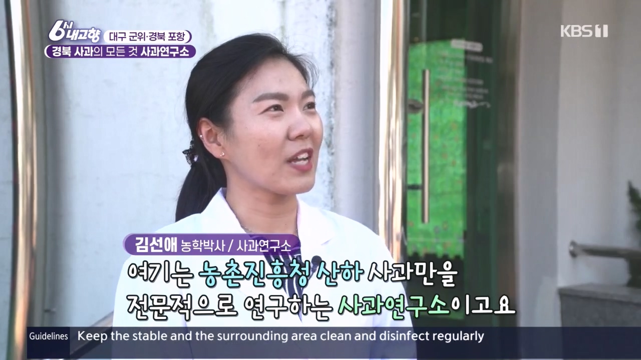 6시 내고향.E7907.231108p.H264-F1RST.mp4_20231108_203714.494.jpg