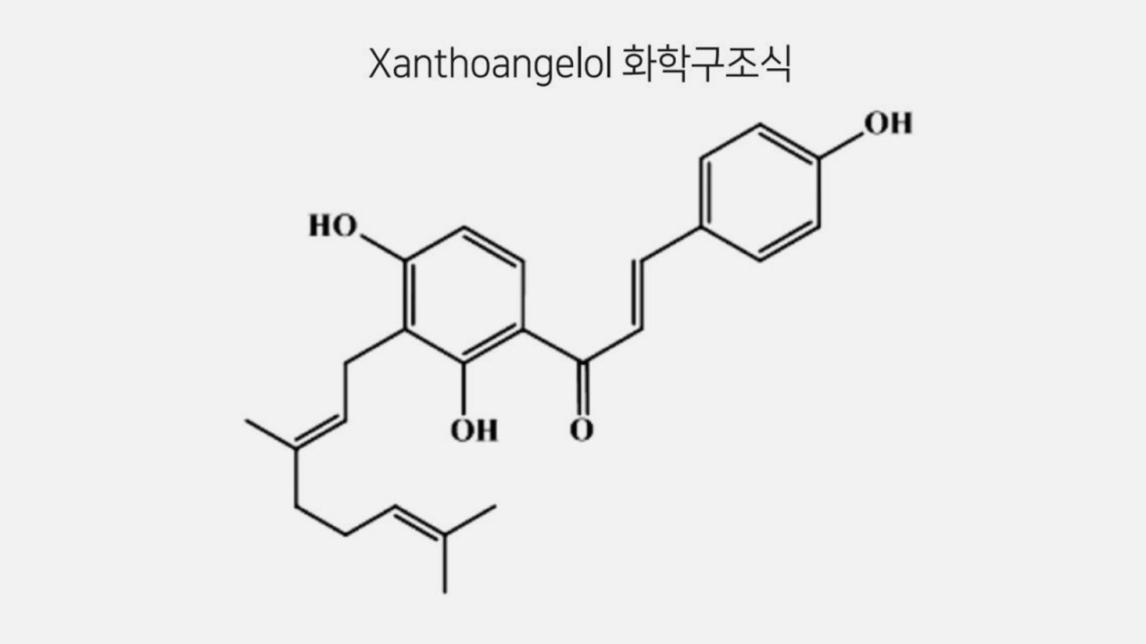 사포닌 효능