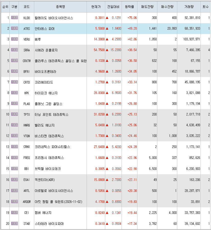  4월13일 미국주식 상승률 상위 종목 TOP 300