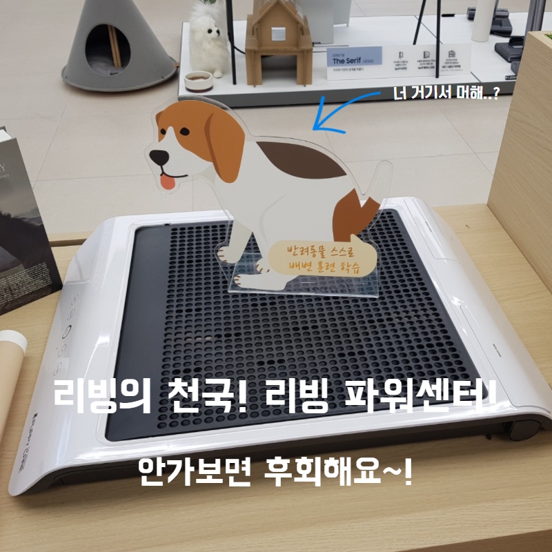  그곳에 가다! 리빙의 천국 리빙 파워센터!
