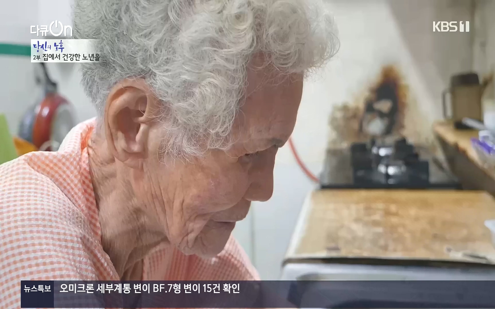 다큐 On.E161.221009p.H264-F1RST.mp4_20221011_211436.461.jpg