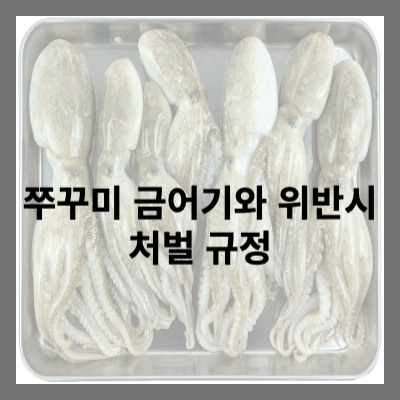 쭈꾸미 금어기와 위반시 처벌과 신고