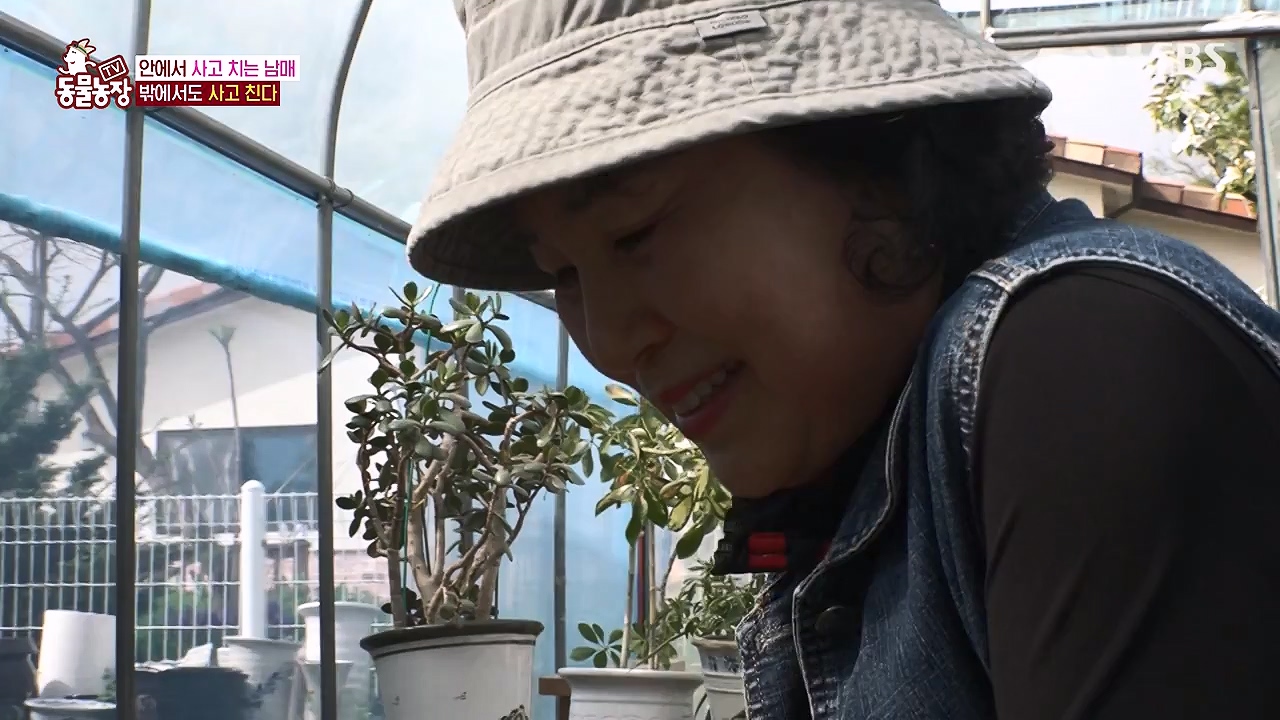 TV 동물농장.E1175.240610p-NEXT.mp4_20240609_160231.934.jpg