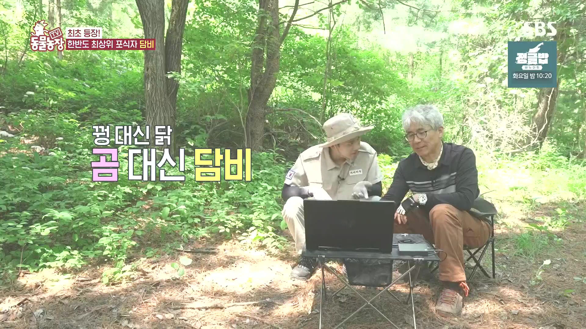 TV 동물농장.E1185.240818p.H264-F1RST.mp4_20240818_161240.455.jpg