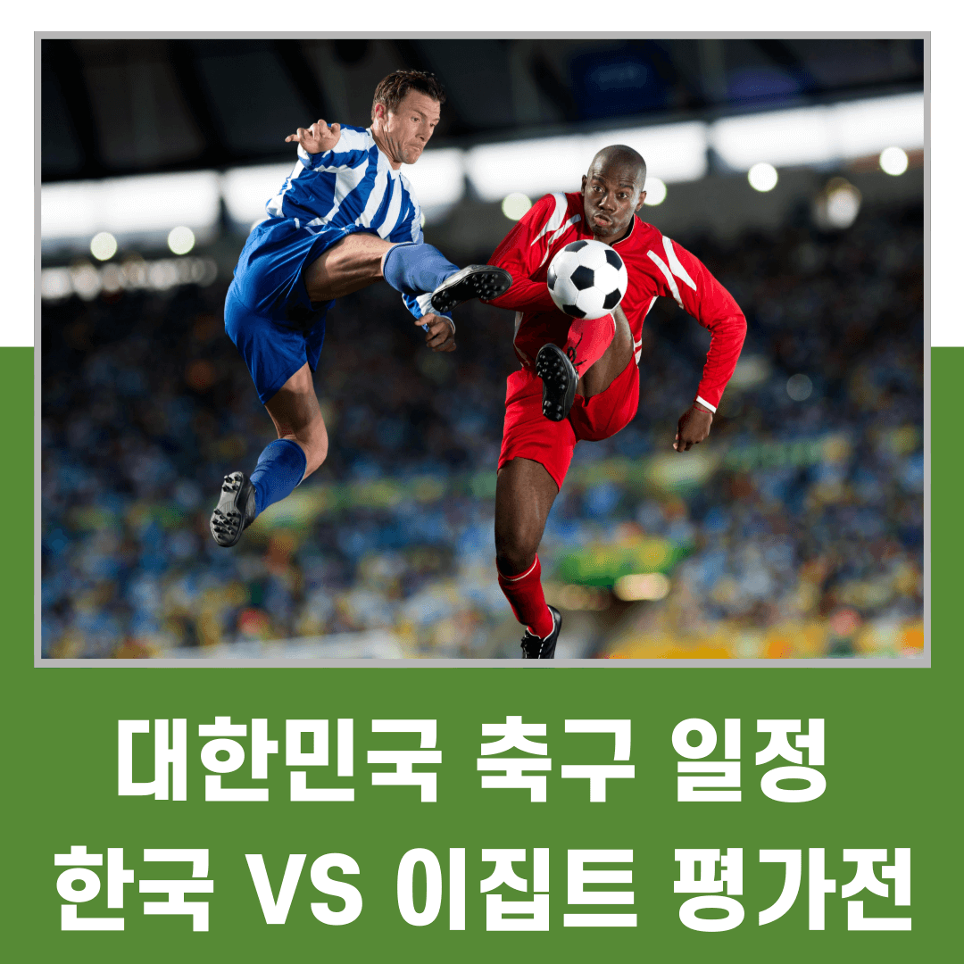 대한민국 축구 일정 한국 이집트 평가전