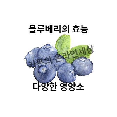 블루베리의 효능