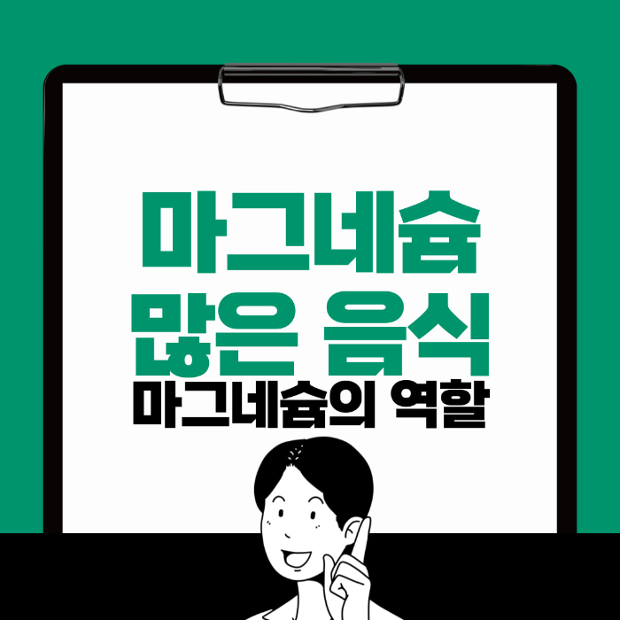  마그네슘 많은 음식, 마그네슘의 역할 알아보기