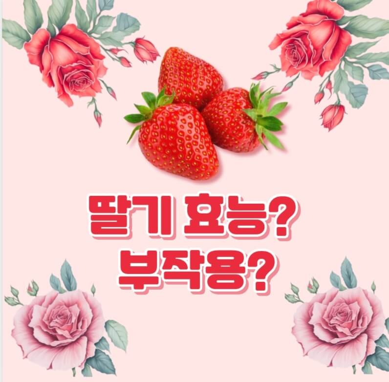 딸기 효능? 딸기 부작용?