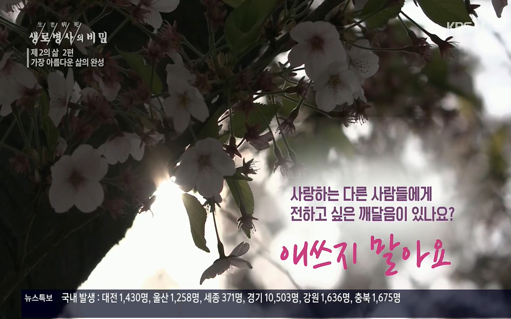 생로병사의 비밀.E820.220511p.H264-F1RST.mp4_20220512_191419.085.jpg