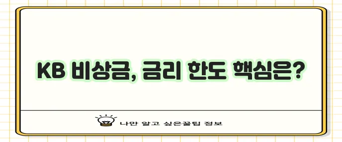국민은행 비상금 대출 금리와 한도 핵심 정보, 꼭 확인하세요!