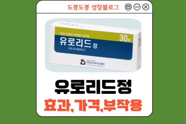 유로리드정 안내 이미지