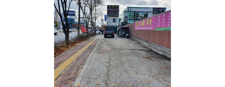 성남 분당구 손세차