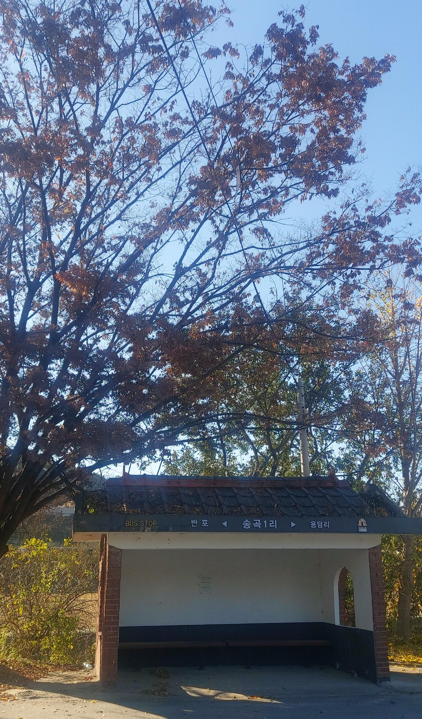송곡주유소 이미지