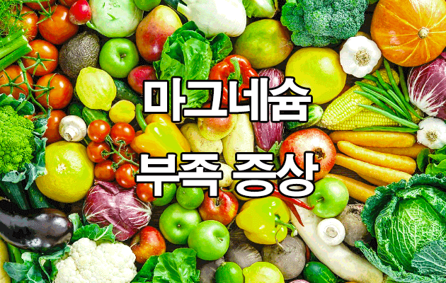 마그네슘 부족 증상 및 부작용 8가지 : 하루 권장량