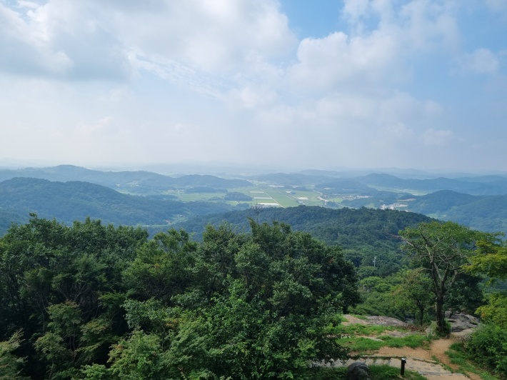 들판
