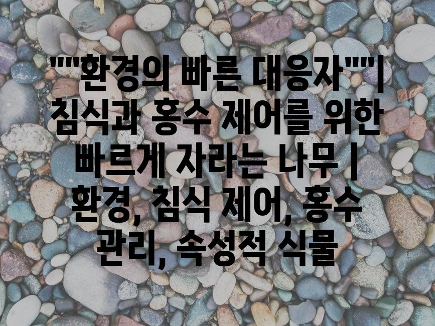 샘플 (82)