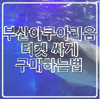  여름실내데이트 부산아쿠아리움 sea life