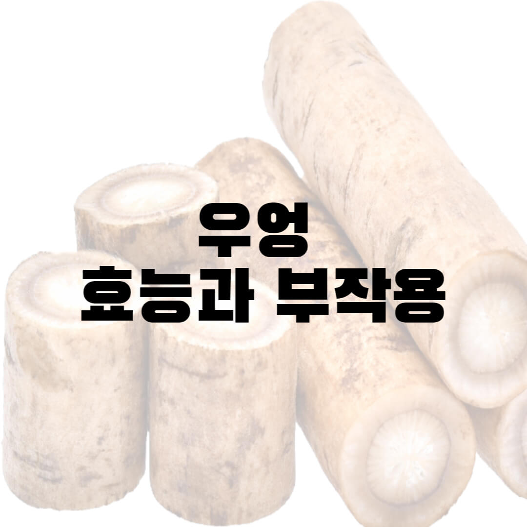  우엉 효능과 부작용