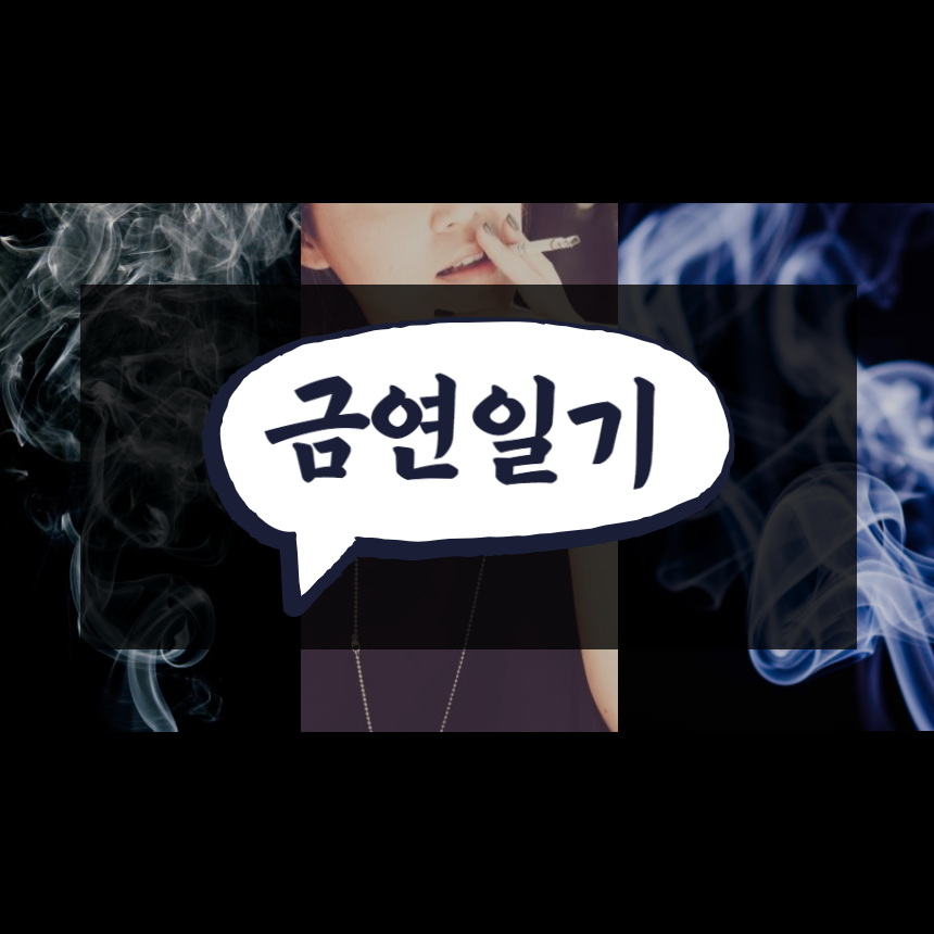  금연 26일차~29일차