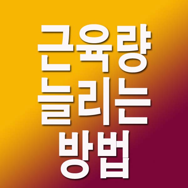  근육량 늘리는 방법 12가지
