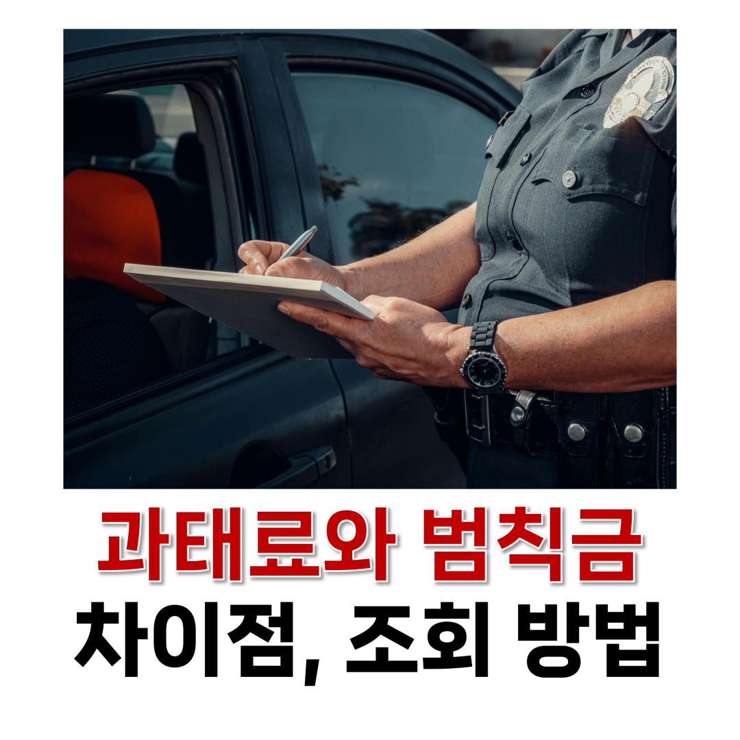 과태료와 범칙금 차이점, 조회 방법