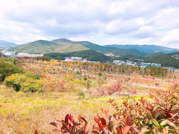 #부산 아이와가 볼만한 바다 운대수목원 35