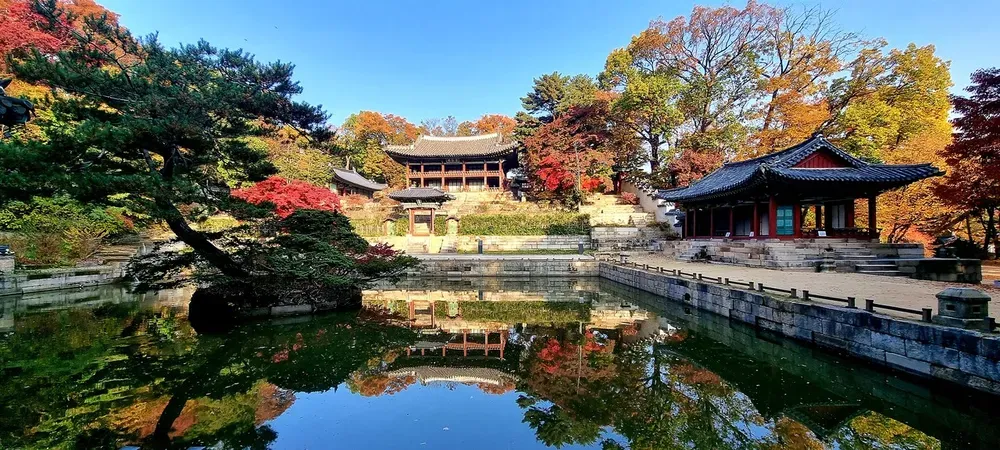 5월 창덕궁 응봉산 수도권 꽃구경 10선_3