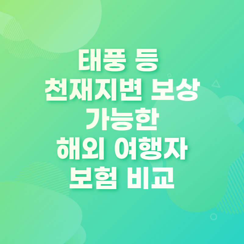 여행자보험 천재지변