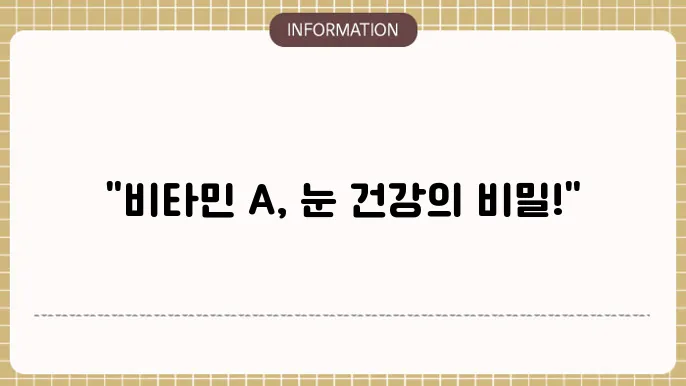 비타민a 영양제 추천