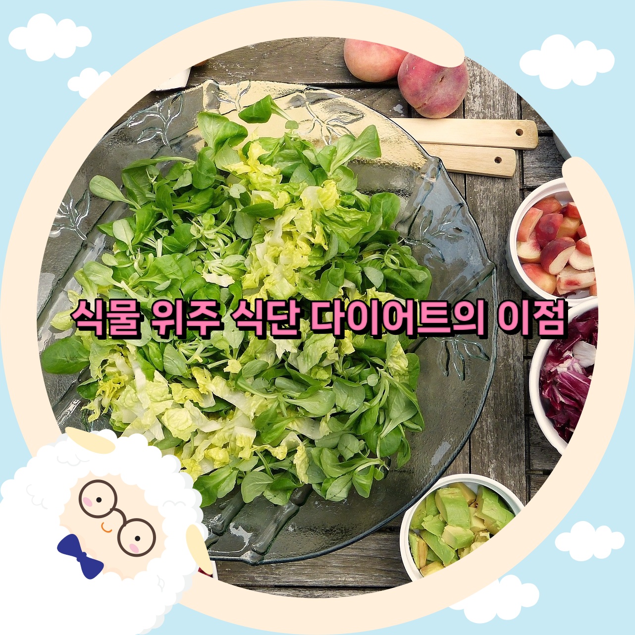  다이어트 - 식물 위주 식단의 이점