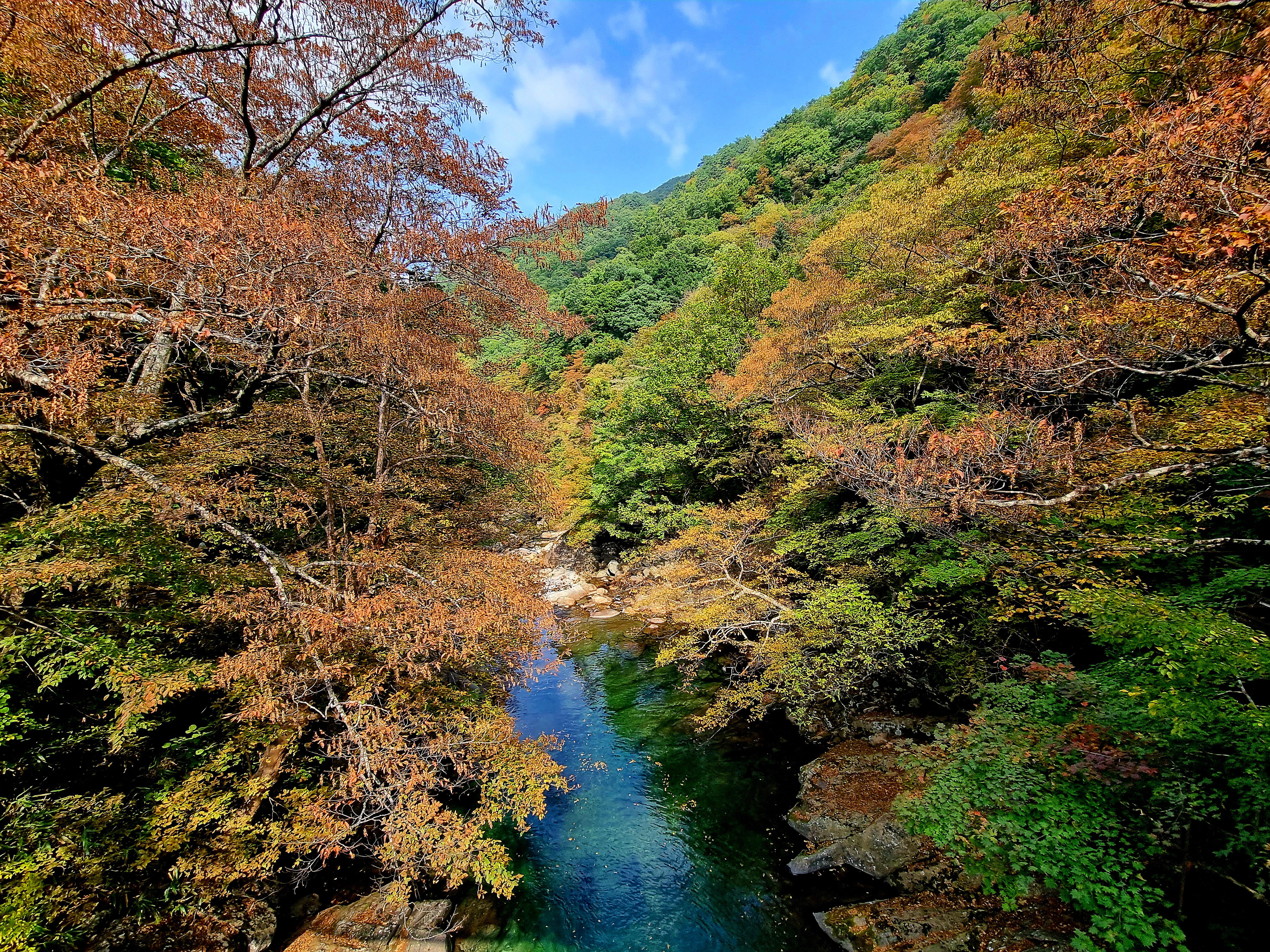 지리산국립공원 단풍