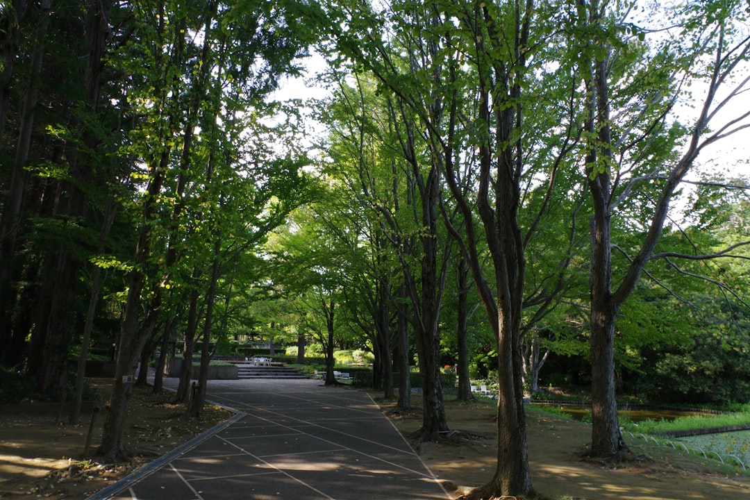 Nari Park