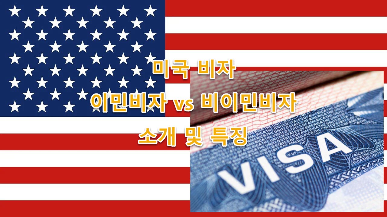 미국 비자, 이민비자 vs 비이민비자 소개 및 특징 최신 정리