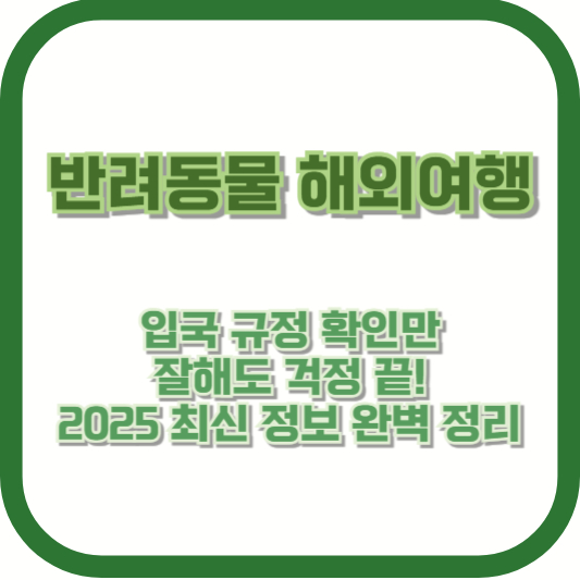 반려동물 해외여행, 입국 규정 확인만 잘해도 걱정 끝! 2025 최신 정보 완벽 정리