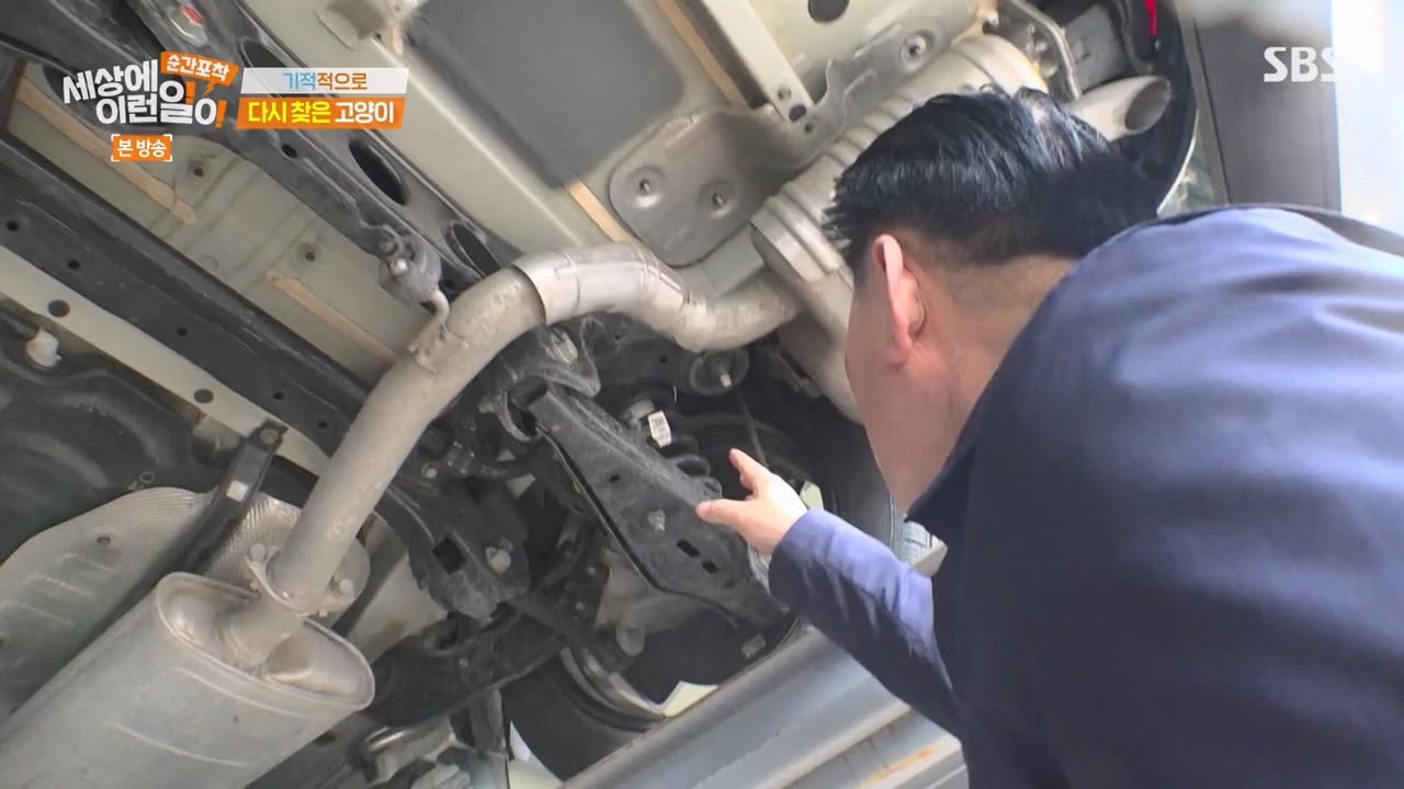 순간포착 세상에 이런일이.E1268.240310p-NEXT.mp4_20240310_132546.790.jpg