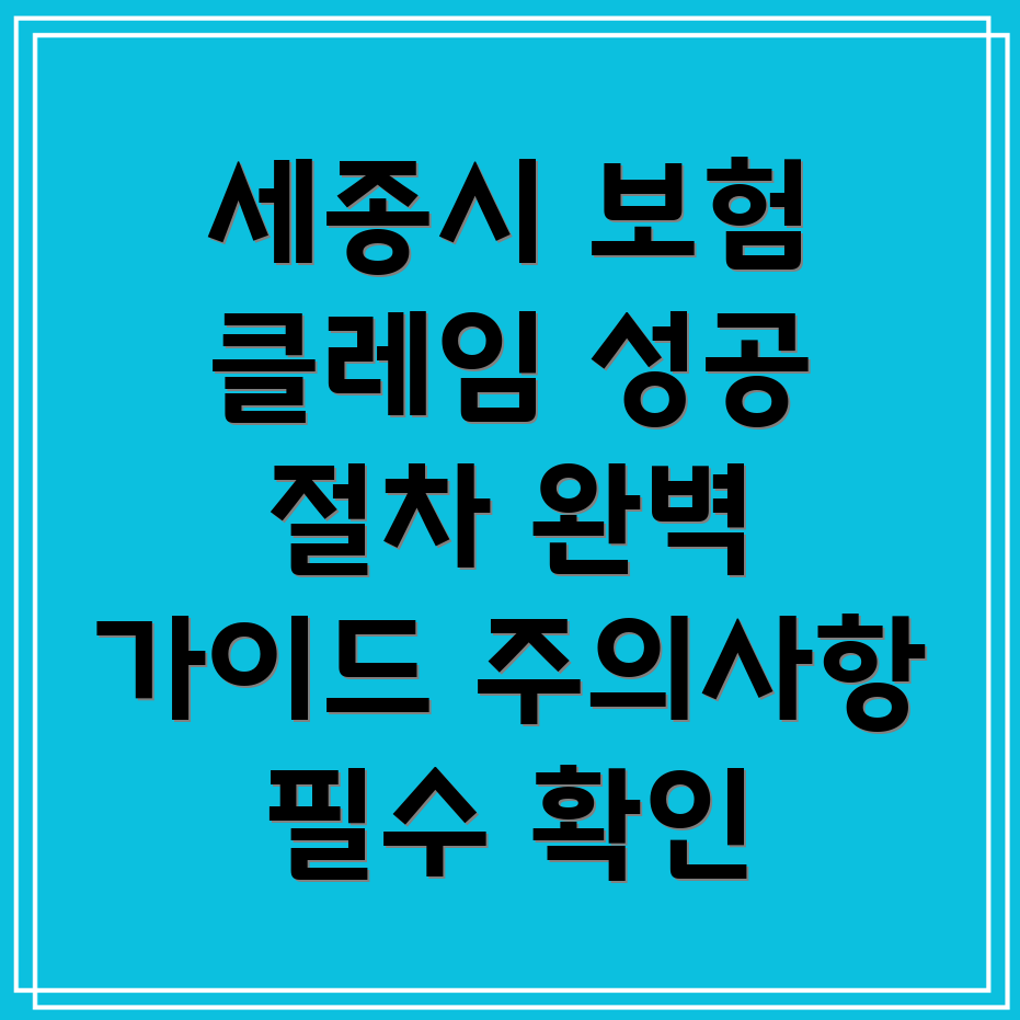 세종시 보험 클레임