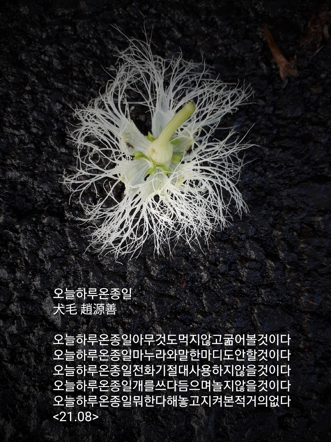 운종 이미지