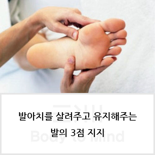  발아치(foot arch)를 살려주고 유지해주는 발(foot)의 3점 지지(three point supporting)