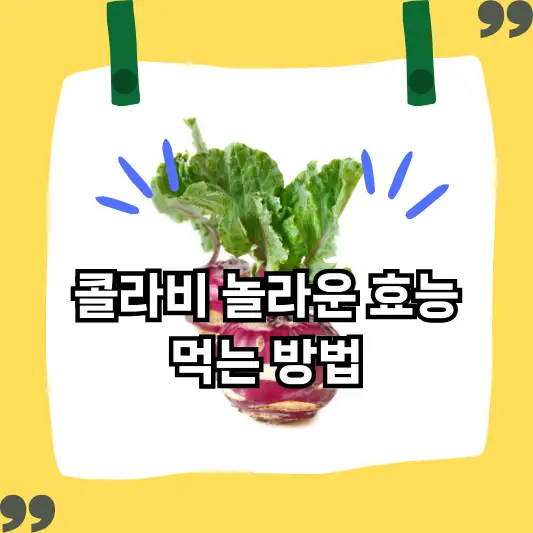 콜라비