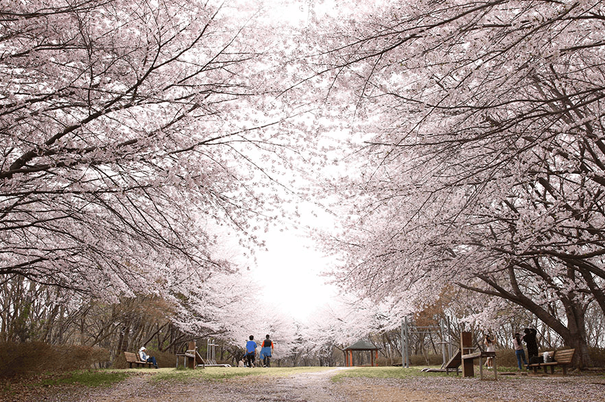 군산 월명공원