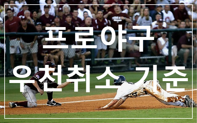  야구 우천 취소 우천 취소 기준과 환불 / 우천 콜드게임 조건 / 중단과 재개