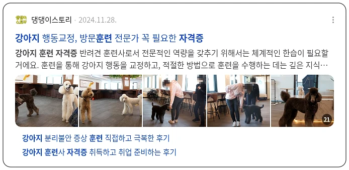 강아지훈련 자격증_2_subsection