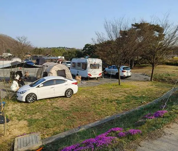 정이품송관광농원