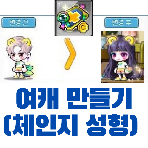  [메이플스토리] 체인지 로얄 성형외과 쿠폰 사용하기 (남캐 -> 여캐?)