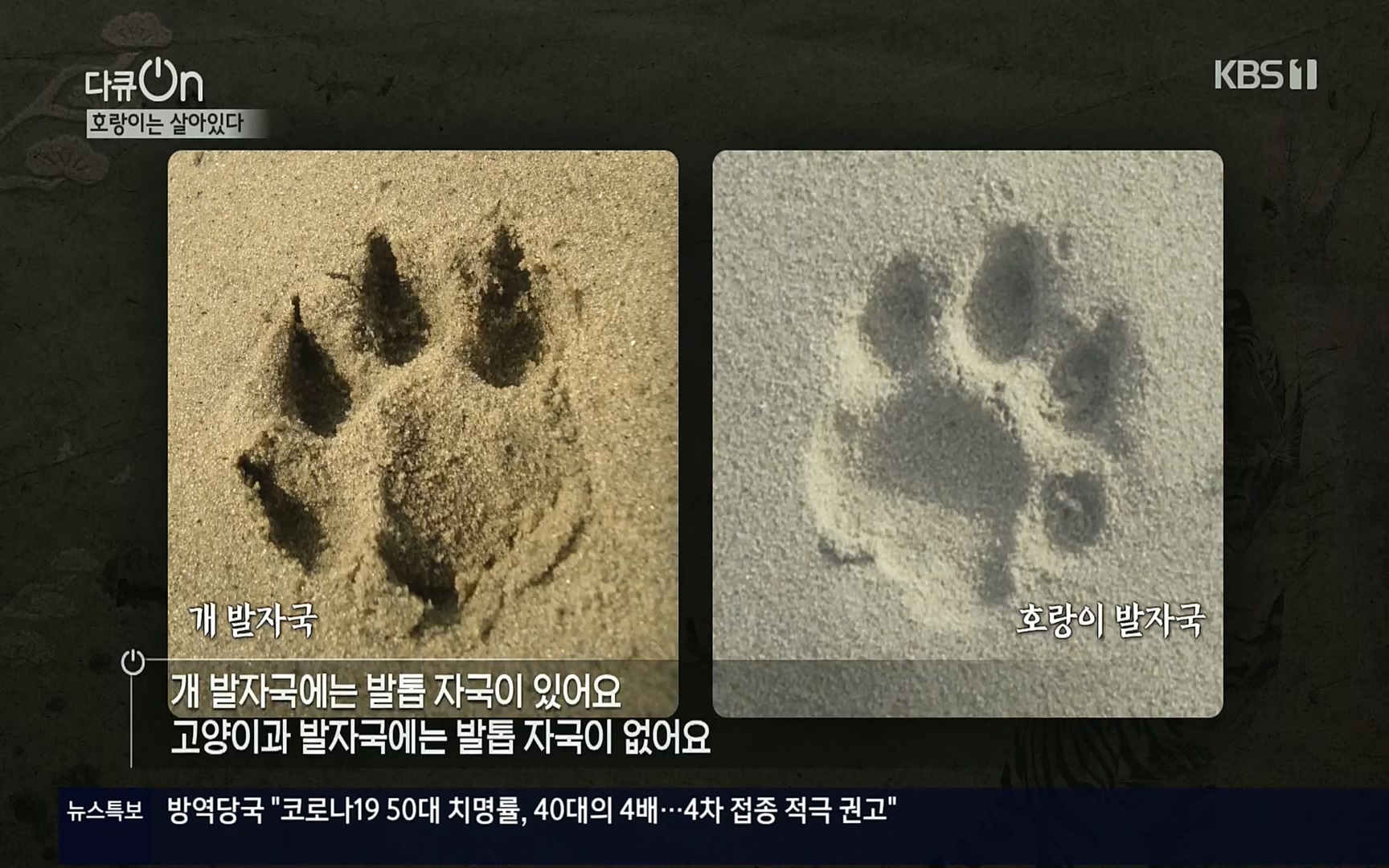 다큐 On.E150.220729p.H264-F1RST.mp4_20220730_164046.414.jpg