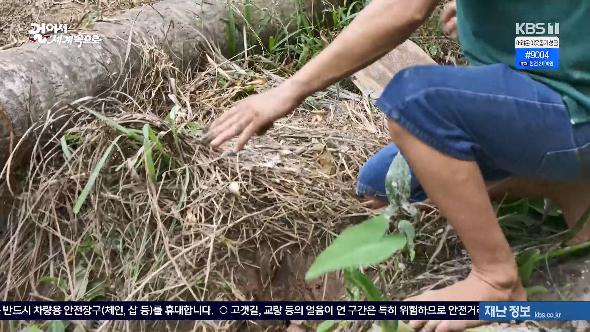 걸어서 세계속으로.E826.240120p.H264-F1RST.mp4_20240716_202100.171.jpg