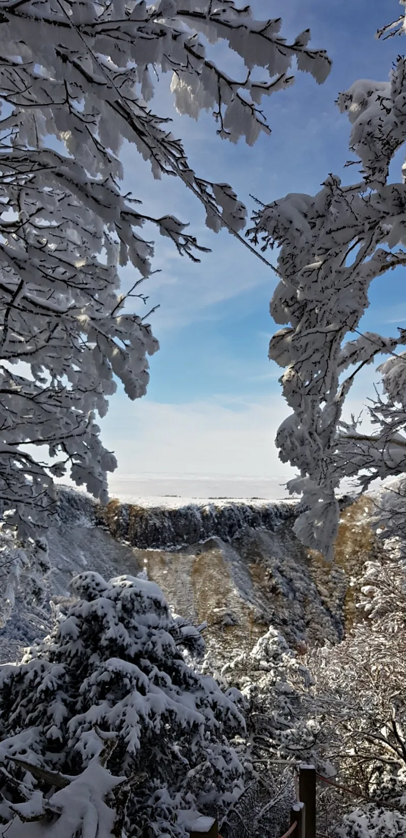제주 한라산 설경 눈꽃