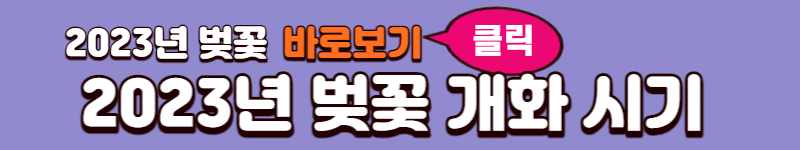 2023 벚꽃 시즌 & 벚꽃 축제