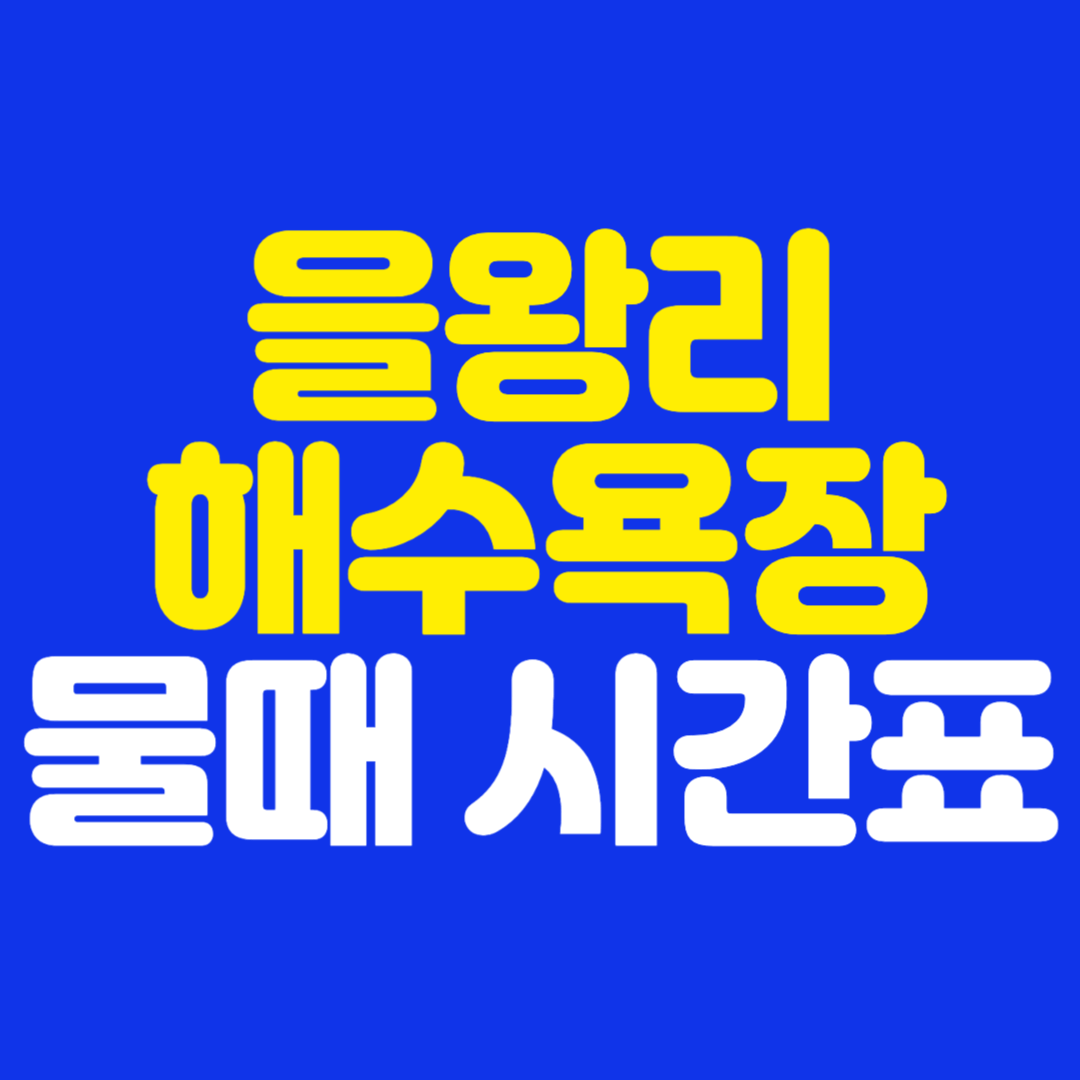 을왕리해수욕장 물때 시간표 실시간 확인 방법